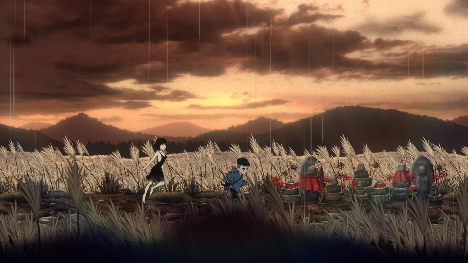 A field of susuki grass