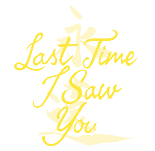 Last Time I Saw You